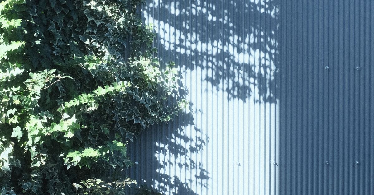 Choosing the Right Height for Your Standard Colorbond Fence