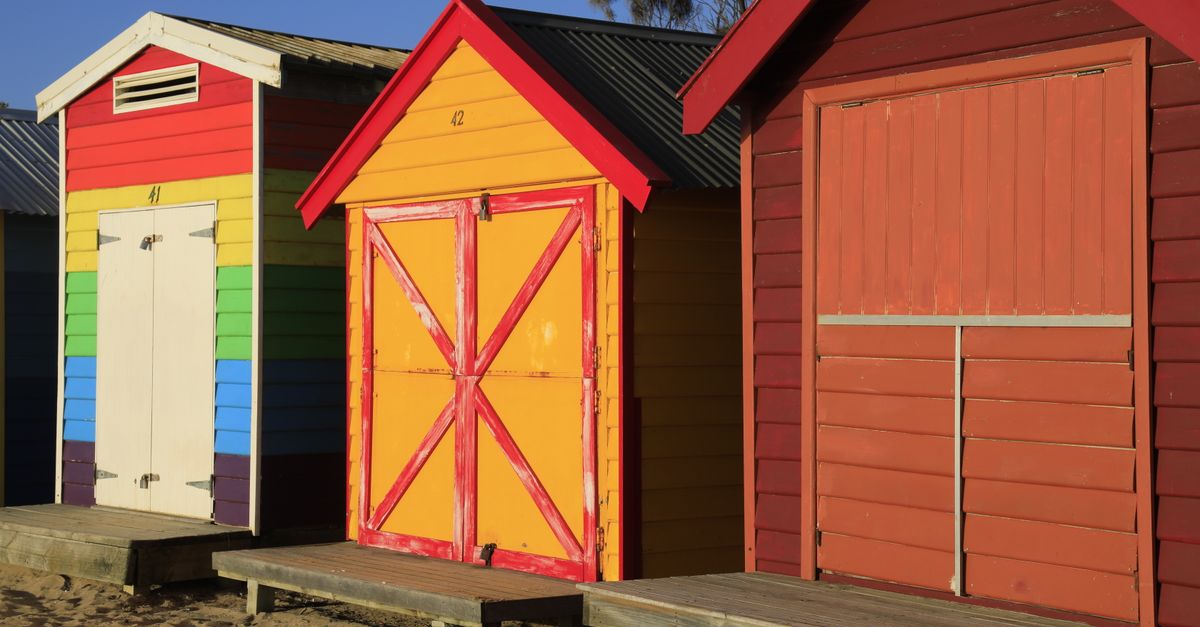 Dealing with Insect Infestation in Colorbond Fencing