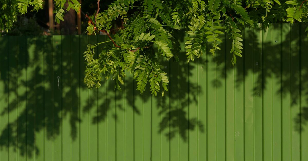 Essential Steps for a Successful Colorbond Fence Installation