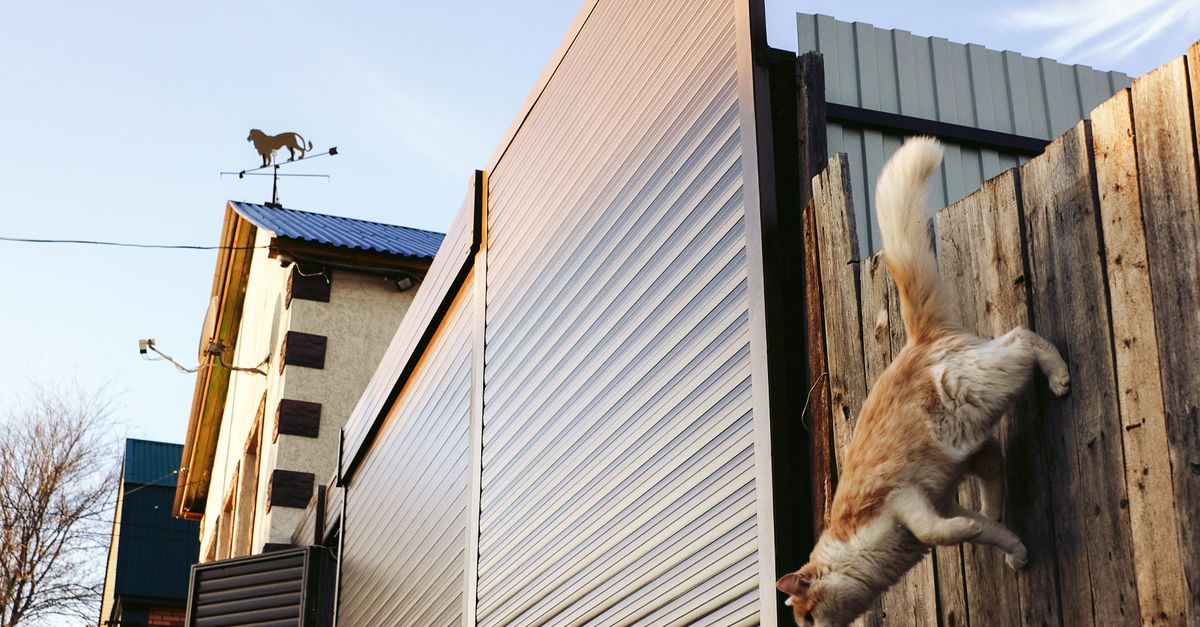 The Contribution of Colorbond Fencing to Biodiversity Conservation